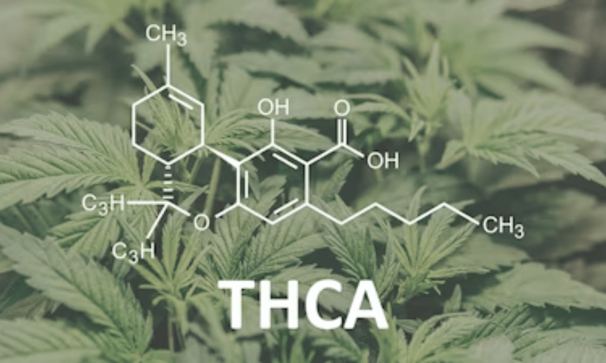 THCA Benefits