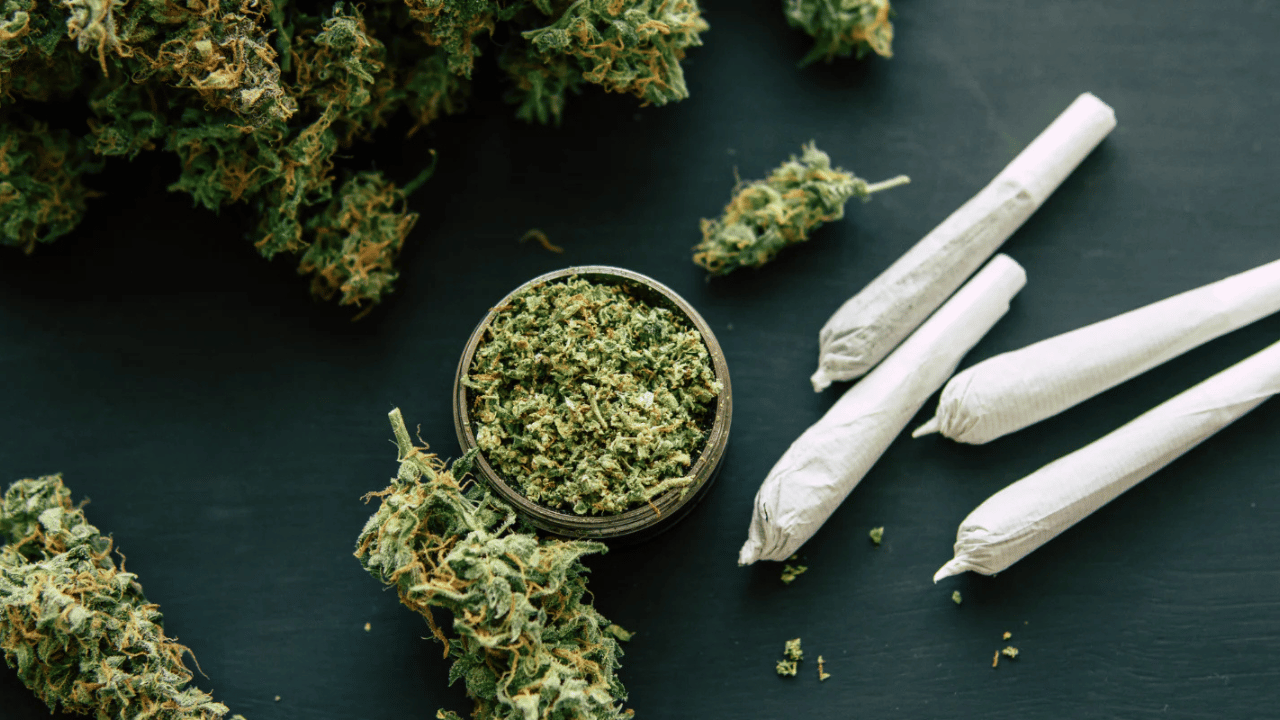 THCa Flower Explained THCa Flower Explained